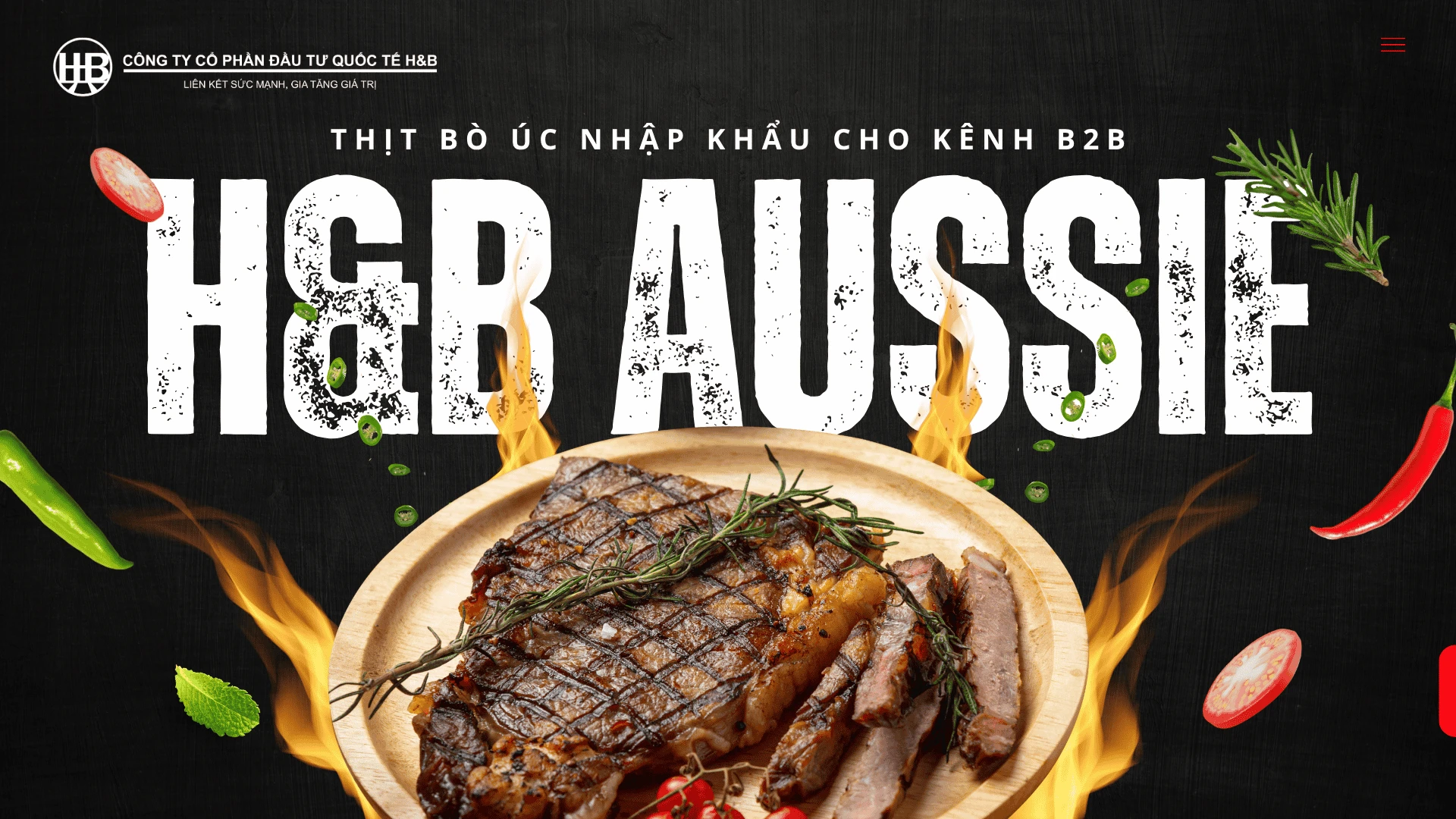 H&B AUSSIE – NHÀ CUNG CỨNG THỊT BÒ ÚC NHẬP KHẨU HÀNG ĐẦU CHO KÊNH B2B